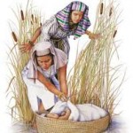 images-8